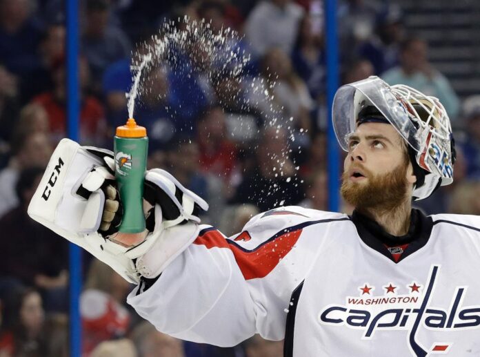 stanley-cup-champion-braden-holtby-struggles-to-get-across-us-canada-border-due-to-tortoise-issues