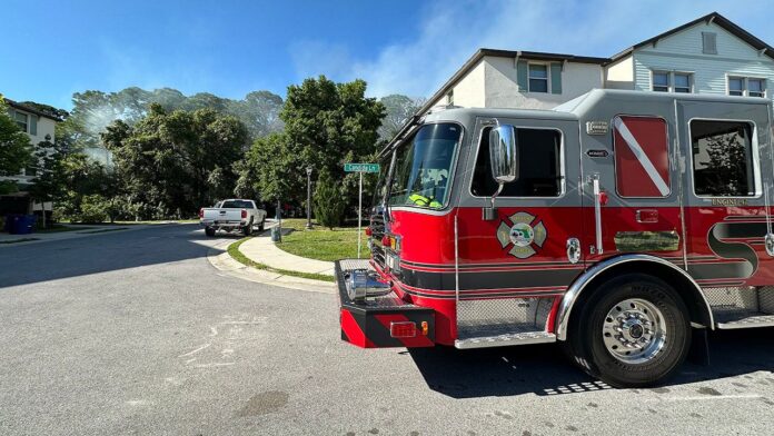 port-richey-brush-fire-near-residences-“100%-contained”