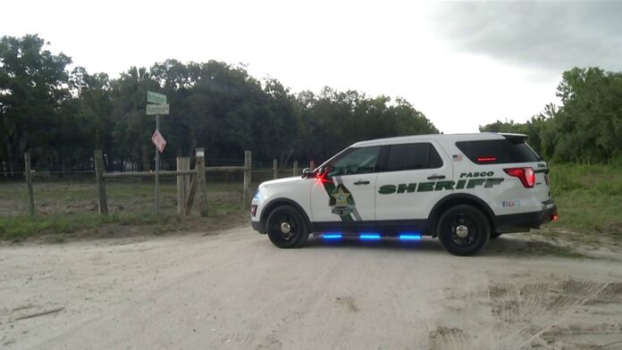 human-remains-found-during-missing-persons-search-in-hudson,-pasco-sheriff’s-investigators-say